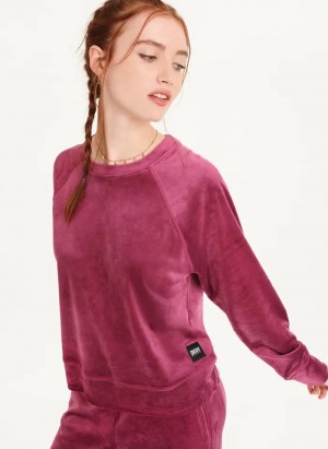 Magenta Purple Women's Dkny Platinum Velour Pullover | 2689YEXVM