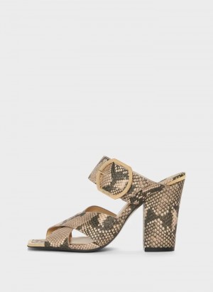 Snake Women's Dkny Lake + Buckle Sandals | 3745EKJZC