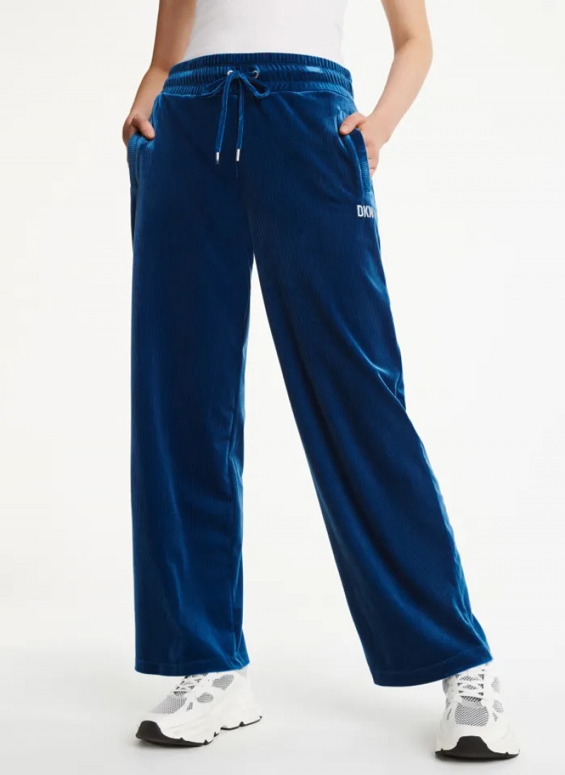 Blue Women\'s Dkny Platinum Velour Relaxed Jogger Pants | 5674KRXAV